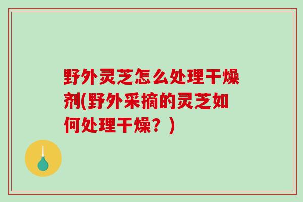 野外灵芝怎么处理干燥剂(野外采摘的灵芝如何处理干燥？)