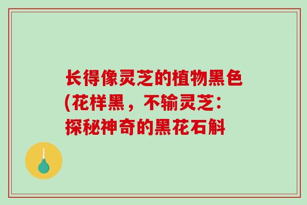 长得像灵芝的植物黑色(花样黑，不输灵芝：探秘神奇的黑花石斛