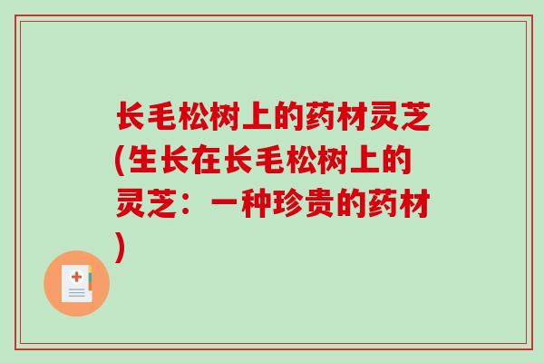 长毛松树上的药材灵芝(生长在长毛松树上的灵芝：一种珍贵的药材)