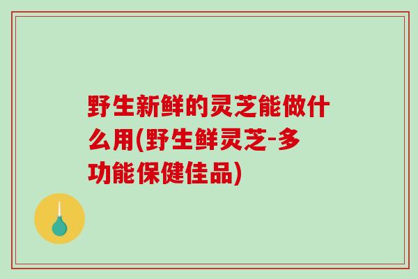 野生新鲜的灵芝能做什么用(野生鲜灵芝-多功能保健佳品)