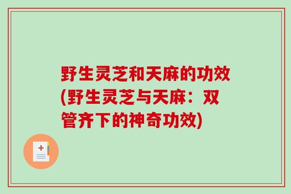 野生灵芝和天麻的功效(野生灵芝与天麻：双管齐下的神奇功效)