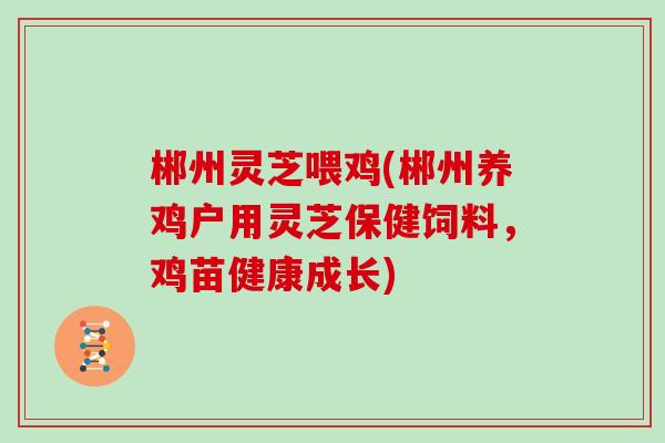 郴州灵芝喂鸡(郴州养鸡户用灵芝保健饲料，鸡苗健康成长)