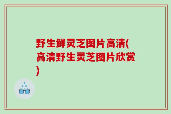 野生鲜灵芝图片高清(高清野生灵芝图片欣赏)