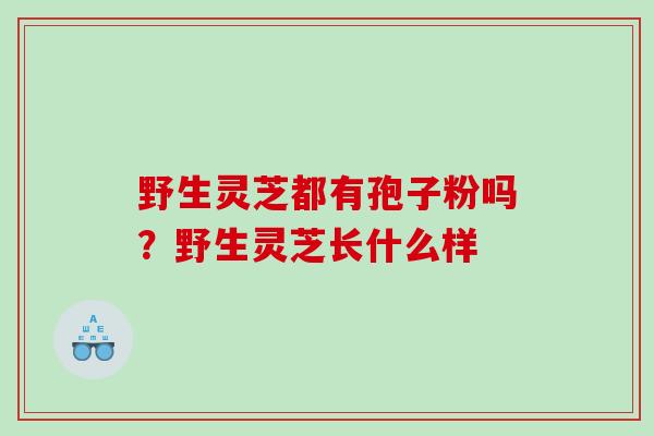 野生灵芝都有孢子粉吗？野生灵芝长什么样