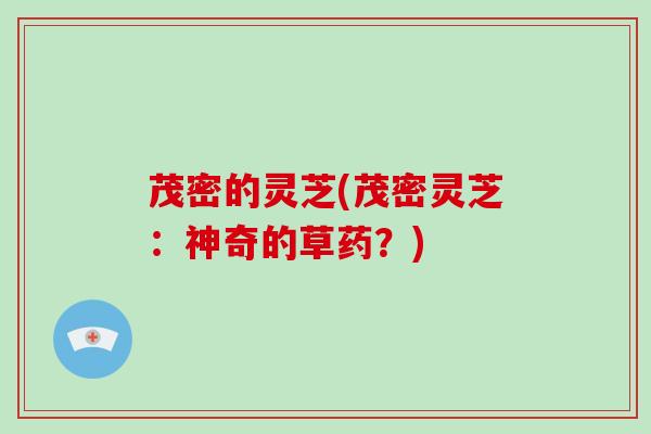 茂密的灵芝(茂密灵芝：神奇的草药？)
