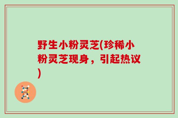 野生小粉灵芝(珍稀小粉灵芝现身，引起热议)