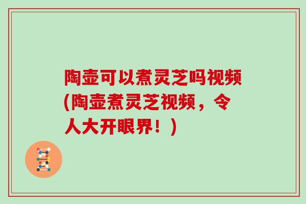 陶壶可以煮灵芝吗视频(陶壶煮灵芝视频，令人大开眼界！)