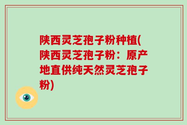陕西灵芝孢子粉种植(陕西灵芝孢子粉：原产地直供纯天然灵芝孢子粉)