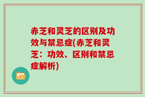 赤芝和灵芝的区别及功效与禁忌症(赤芝和灵芝：功效、区别和禁忌症解析)