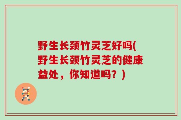 野生长颈竹灵芝好吗(野生长颈竹灵芝的健康益处，你知道吗？)