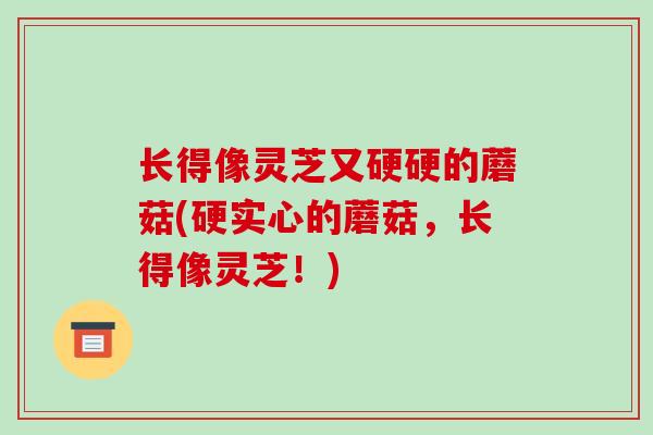 长得像灵芝又硬硬的蘑菇(硬实心的蘑菇,长得像灵芝!) 长得像灵芝又硬硬的蘑菇(硬实心的蘑菇,长得像灵芝!)