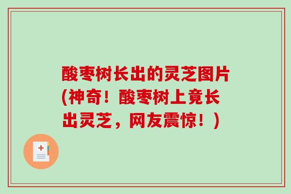 酸枣树长出的灵芝图片(神奇！酸枣树上竟长出灵芝，网友震惊！)