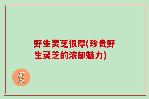 野生灵芝很厚(珍贵野生灵芝的浓郁魅力)