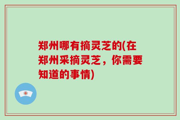 郑州哪有摘灵芝的(在郑州采摘灵芝，你需要知道的事情)