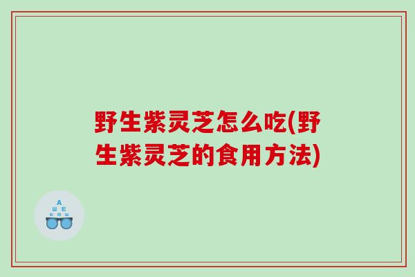 野生紫灵芝怎么吃(野生紫灵芝的食用方法)