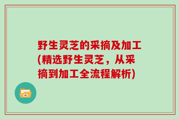 野生灵芝的采摘及加工(精选野生灵芝，从采摘到加工全流程解析)