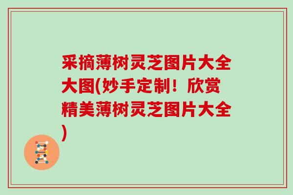 采摘薄树灵芝图片大全大图(妙手定制！欣赏精美薄树灵芝图片大全)