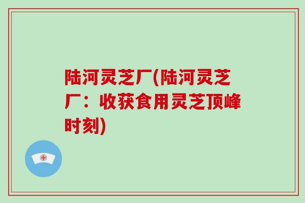 陆河灵芝厂(陆河灵芝厂：收获食用灵芝顶峰时刻)