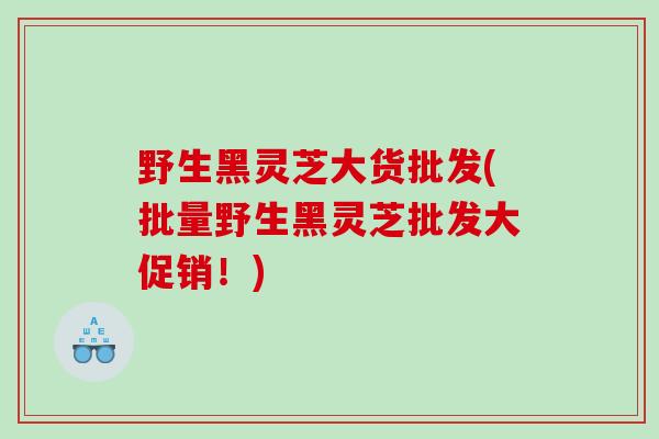 野生黑灵芝大货批发(批量野生黑灵芝批发大促销！)