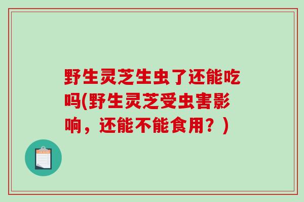 野生灵芝生虫了还能吃吗(野生灵芝受虫害影响，还能不能食用？)