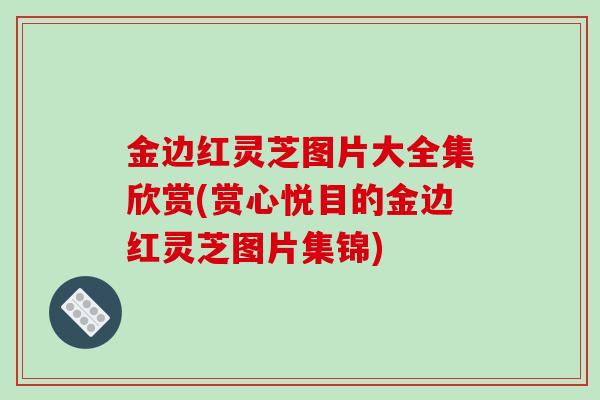 金边红灵芝图片大全集欣赏(赏心悦目的金边红灵芝图片集锦)
