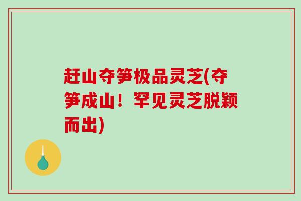 赶山夺笋极品灵芝(夺笋成山！罕见灵芝脱颖而出)