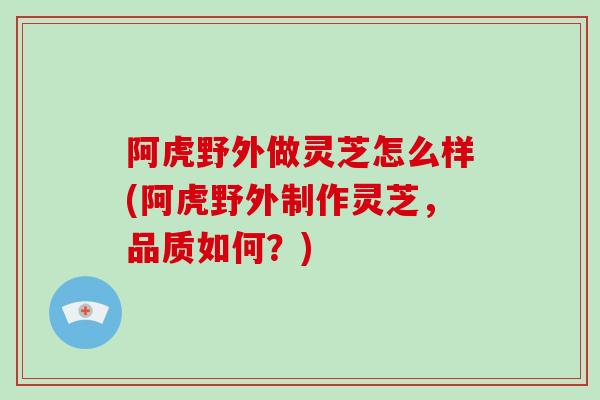 阿虎野外做灵芝怎么样(阿虎野外制作灵芝，品质如何？)