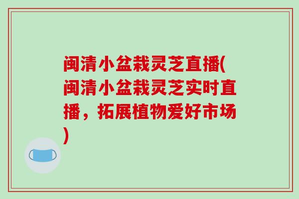 闽清小盆栽灵芝直播(闽清小盆栽灵芝实时直播，拓展植物爱好市场)