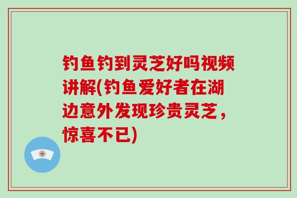 钓鱼钓到灵芝好吗视频讲解(钓鱼爱好者在湖边意外发现珍贵灵芝，惊喜不已)