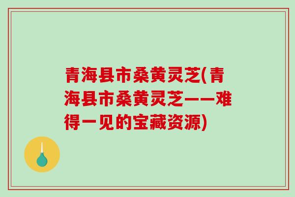 青海县市桑黄灵芝(青海县市桑黄灵芝——难得一见的宝藏资源)