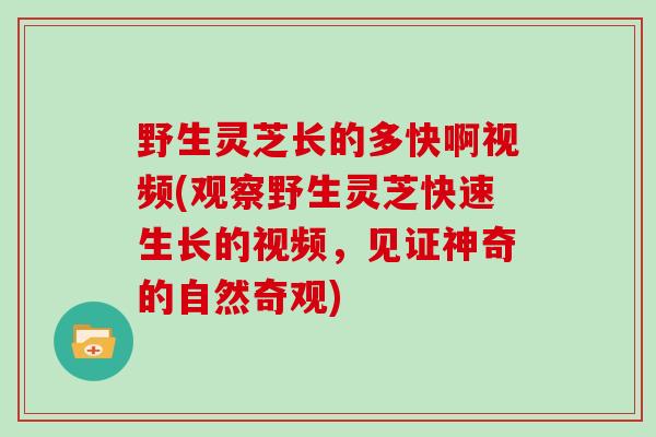 野生灵芝长的多快啊视频(观察野生灵芝快速生长的视频，见证神奇的自然奇观)