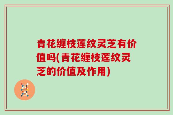 青花缠枝莲纹灵芝有价值吗(青花缠枝莲纹灵芝的价值及作用)