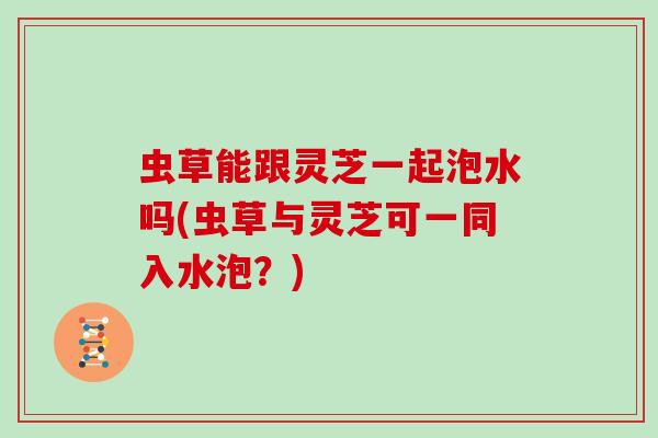 虫草能跟灵芝一起泡水吗(虫草与灵芝可一同入水泡？)