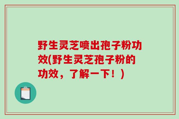 野生灵芝喷出孢子粉功效(野生灵芝孢子粉的功效，了解一下！)