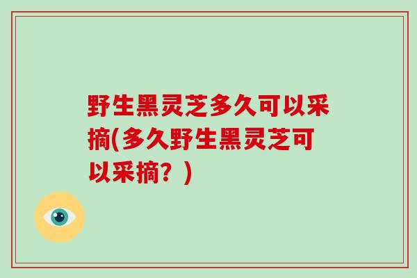 野生黑灵芝多久可以采摘(多久野生黑灵芝可以采摘？)