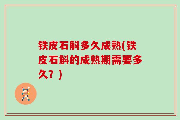 铁皮石斛多久成熟(铁皮石斛的成熟期需要多久？)