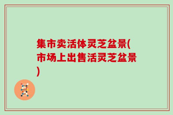 集市卖活体灵芝盆景(市场上出售活灵芝盆景)