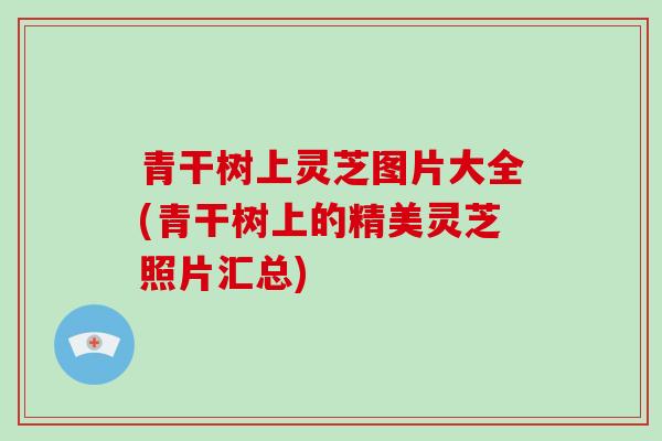 青干树上灵芝图片大全(青干树上的精美灵芝照片汇总)