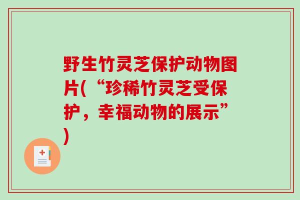 野生竹灵芝保护动物图片(“珍稀竹灵芝受保护，幸福动物的展示”)