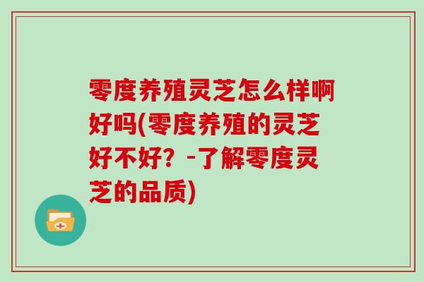 零度养殖灵芝怎么样啊好吗(零度养殖的灵芝好不好？-了解零度灵芝的品质)