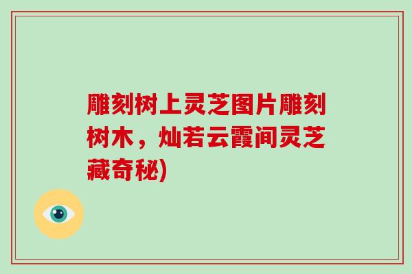 雕刻树上灵芝图片雕刻树木，灿若云霞间灵芝藏奇秘)