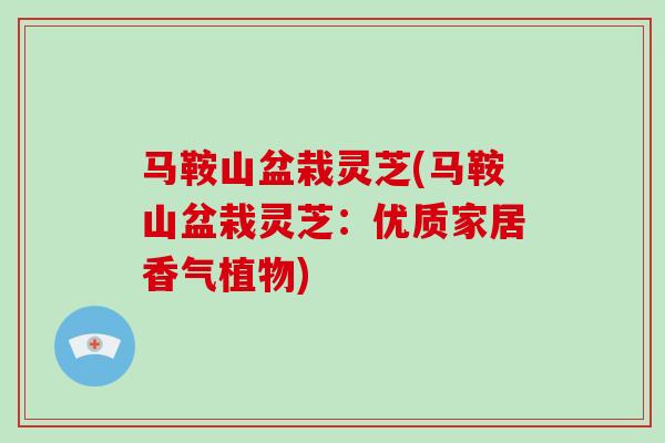 马鞍山盆栽灵芝(马鞍山盆栽灵芝：优质家居香气植物)