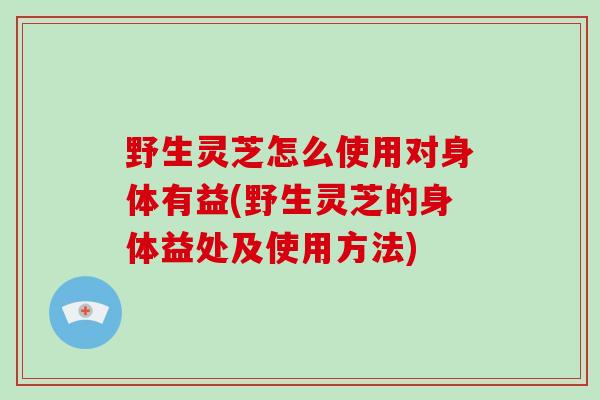 野生灵芝怎么使用对身体有益(野生灵芝的身体益处及使用方法)