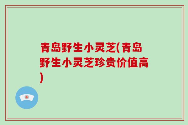 青岛野生小灵芝(青岛野生小灵芝珍贵价值高)