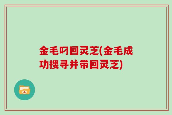 金毛叼回灵芝(金毛成功搜寻并带回灵芝)