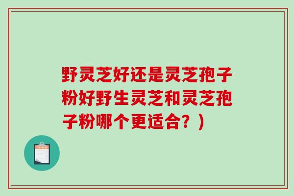 野灵芝好还是灵芝孢子粉好野生灵芝和灵芝孢子粉哪个更适合？)