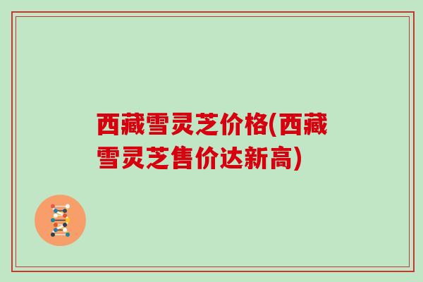 西藏雪灵芝价格(西藏雪灵芝售价达新高)