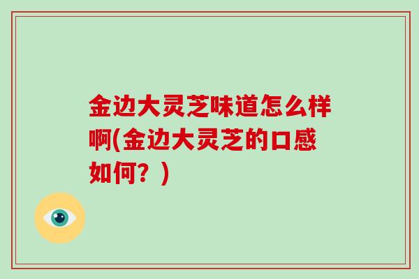 金边大灵芝味道怎么样啊(金边大灵芝的口感如何？)