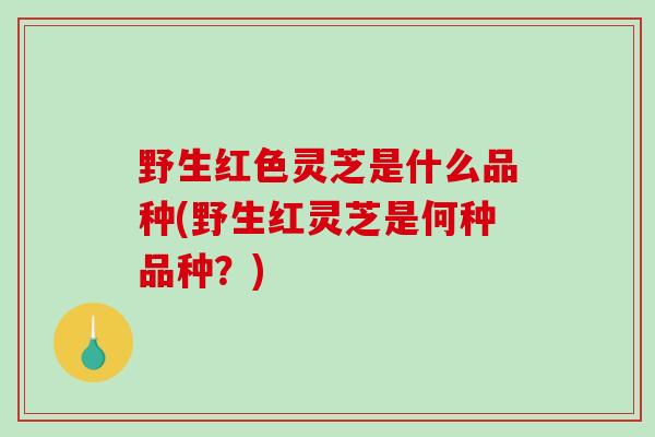 野生红色灵芝是什么品种(野生红灵芝是何种品种？)