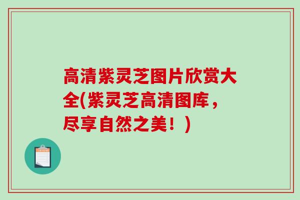 高清紫灵芝图片欣赏大全(紫灵芝高清图库,尽享自然之美!) 高清紫灵芝图片欣赏大全(紫灵芝高清图库,尽享自然之美!)